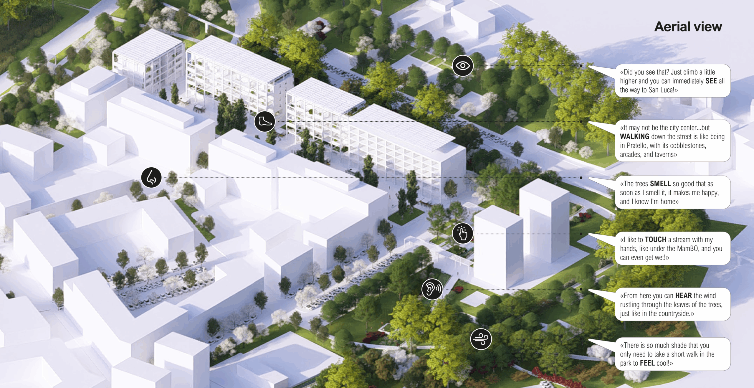 mappa sensoriale-eng